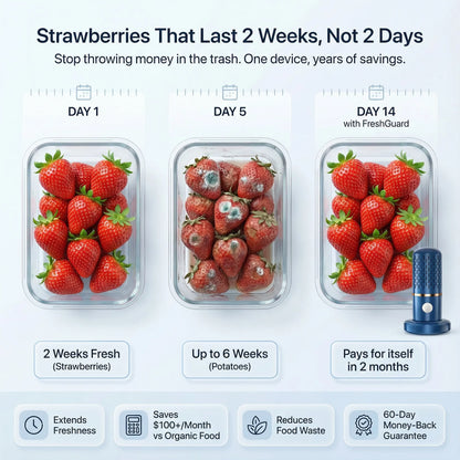 Purify Fruit and Vegetable Pesticide with FreshGuard