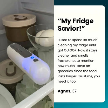 STOP Fridge Odors & Keep Food FRESH LONGER