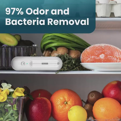 STOP Fridge Odors & Keep Food FRESH LONGER